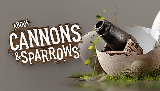 About Cannons & Sparrows