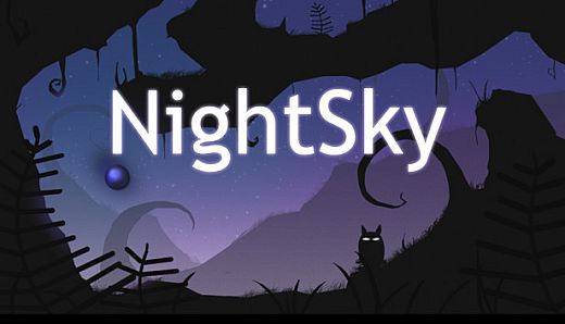 NightSky