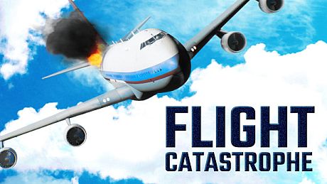 Flight Catastrophe Game