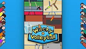 Wacky Volleyball