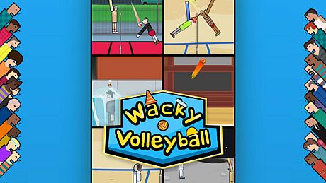 Wacky Volleyball Game