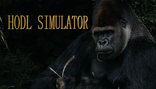Hodl Simulator