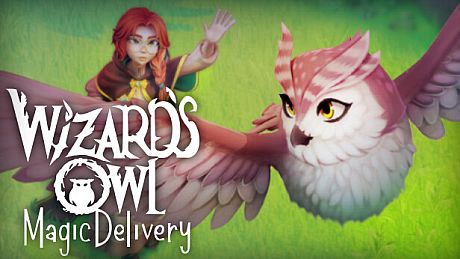 Wizards Owl: Magic Delivery Game