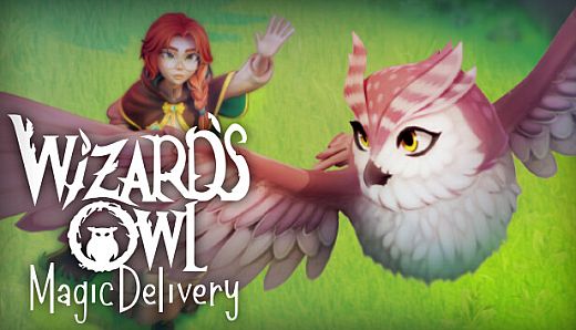 Wizards Owl: Magic Delivery