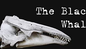 The Black Whale