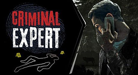 Criminal Expert Game
