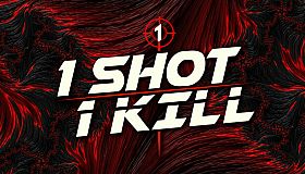1 Shot 1 Kill