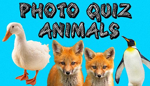 Photo Quiz - Animals