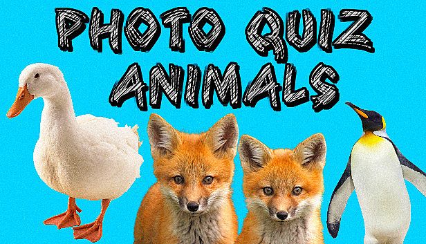 Buy Photo Quiz - Animals