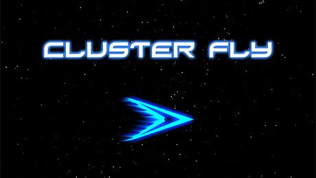 Cluster Fly Game