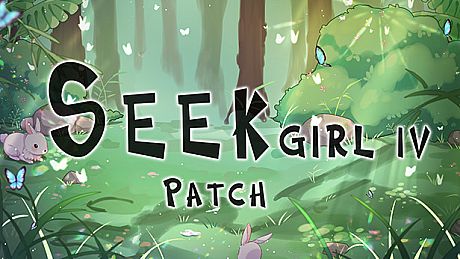 Seek Girl Ⅳ - Patch DLC