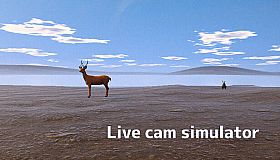 Live Cam Simulator