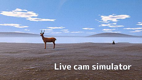 Live Cam Simulator Game