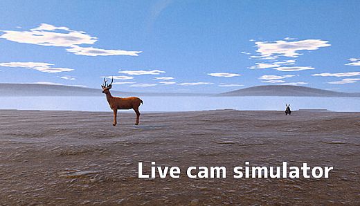 Live Cam Simulator