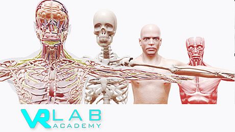 VRLab Academy Anatomy VR Game