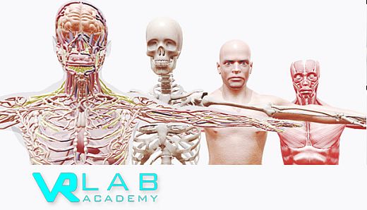 VRLab Academy Anatomy VR
