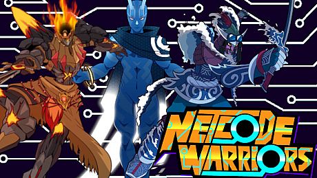 Netcode Warriors Game