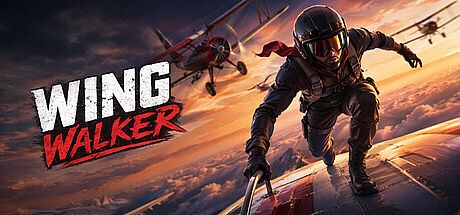 Wing Walker Game