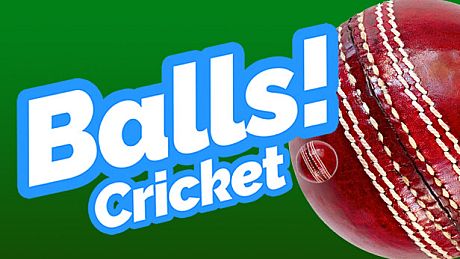 Balls! Virtual Reality Cricket