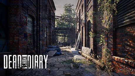 Dead Man´s Diary Game