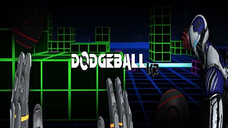 DodgeBall VR Game