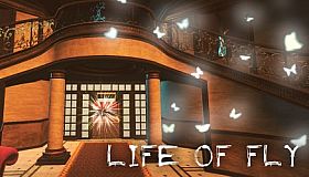 Life of Fly