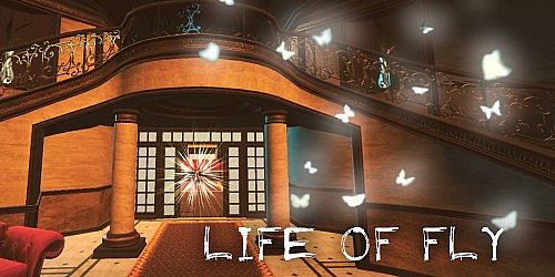 Life of Fly