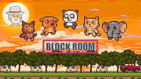 Block Room Game