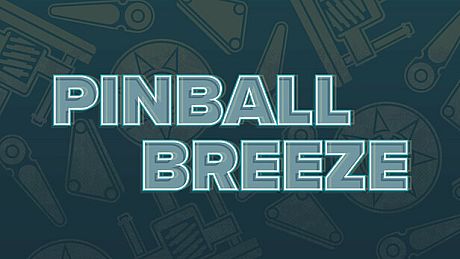 Pinball Breeze Game
