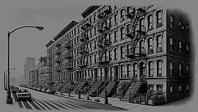 Rooftop Rascal: The Drizzle Cat