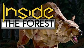 Inside the Forest