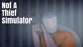 Not A Thief Simulator