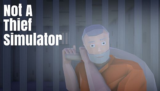 Not A Thief Simulator