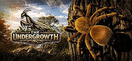 The Undergrowth