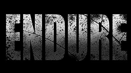 ENDURE Game