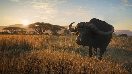 theHunter: Call of the Wild - Vurhonga Savanna DLC