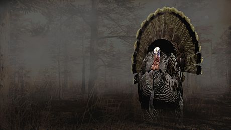 Pro Turkey Hunting Game