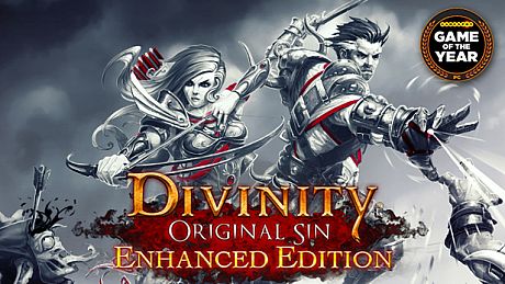 Divinity: Original Sin - Enhanced Edition Game