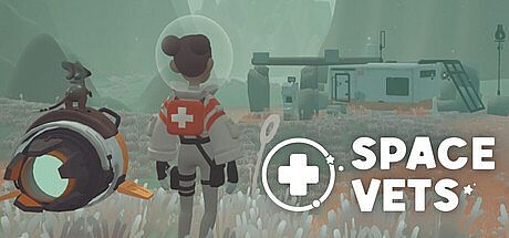 Space Vet