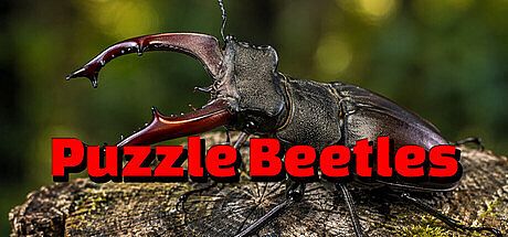 Puzzle Beetles Game