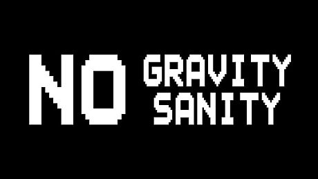 No Gravity No Sanity Game