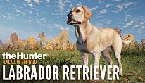 theHunter: Call of the Wild - Labrador Retriever für PC kaufen