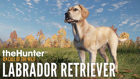 theHunter: Call of the Wild - Labrador Retriever DLC