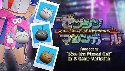 Accessory: "Now I'm Pissed Cat" in 3 Color Varieties