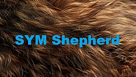 SYM Shepherd
