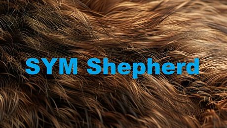 SYM Shepherd Game