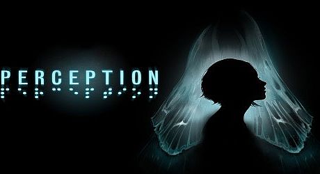 Perception Game
