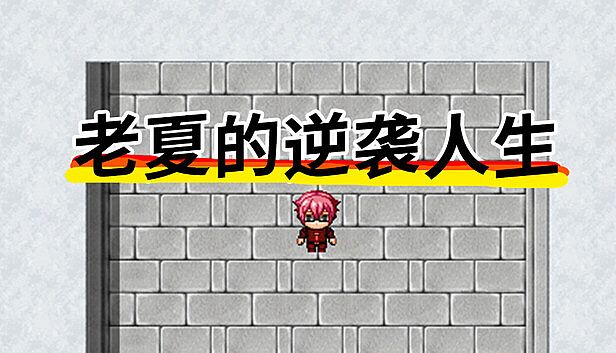 Buy 老夏的逆袭人生