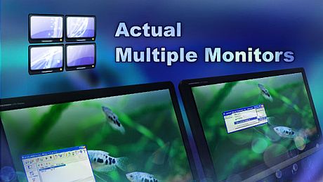 Actual Multiple Monitors Game