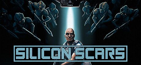 Silicon Scars
